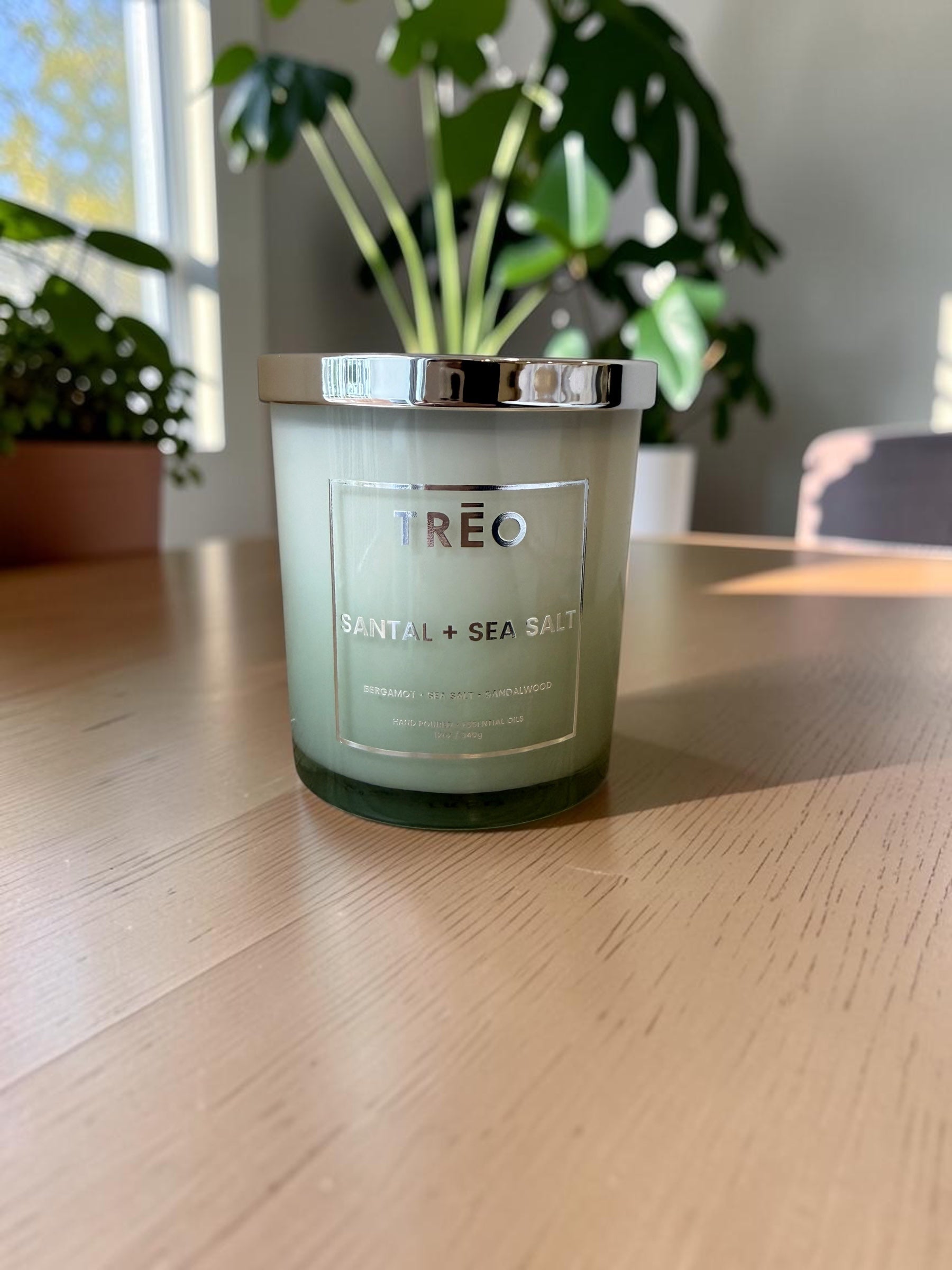 TRĒO Santal + Sea Salt scented candle, 12 oz